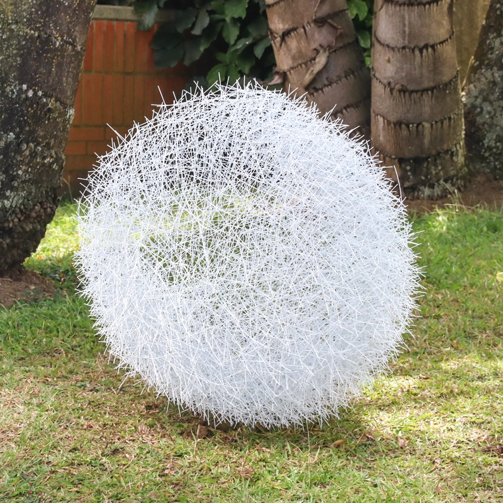 Nido blanco, 2020: Ricardo Cárdenas | Yaco Art Gallery