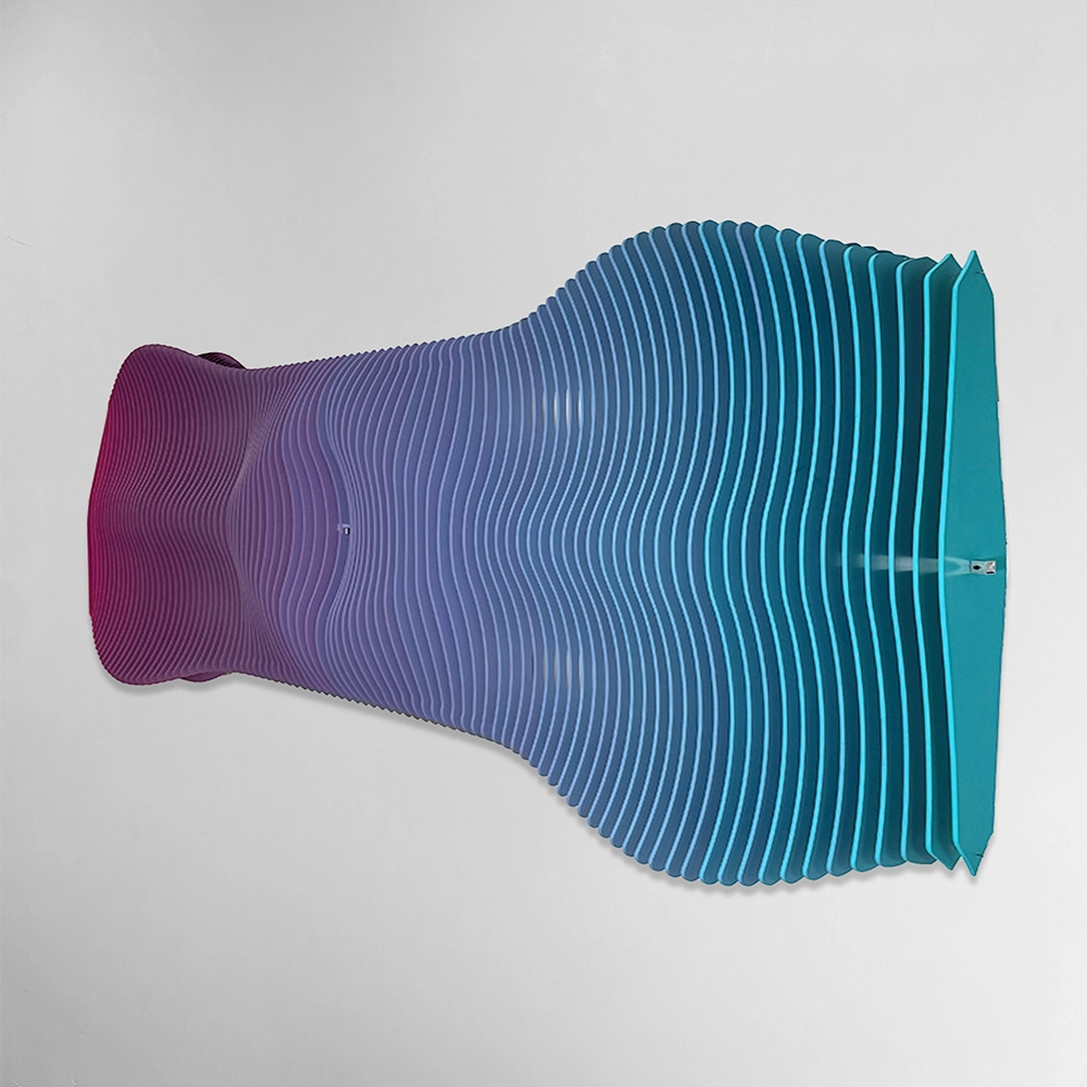 Parabólico espina, 2024: Danny Esquenazi | Yaco Art Gallery