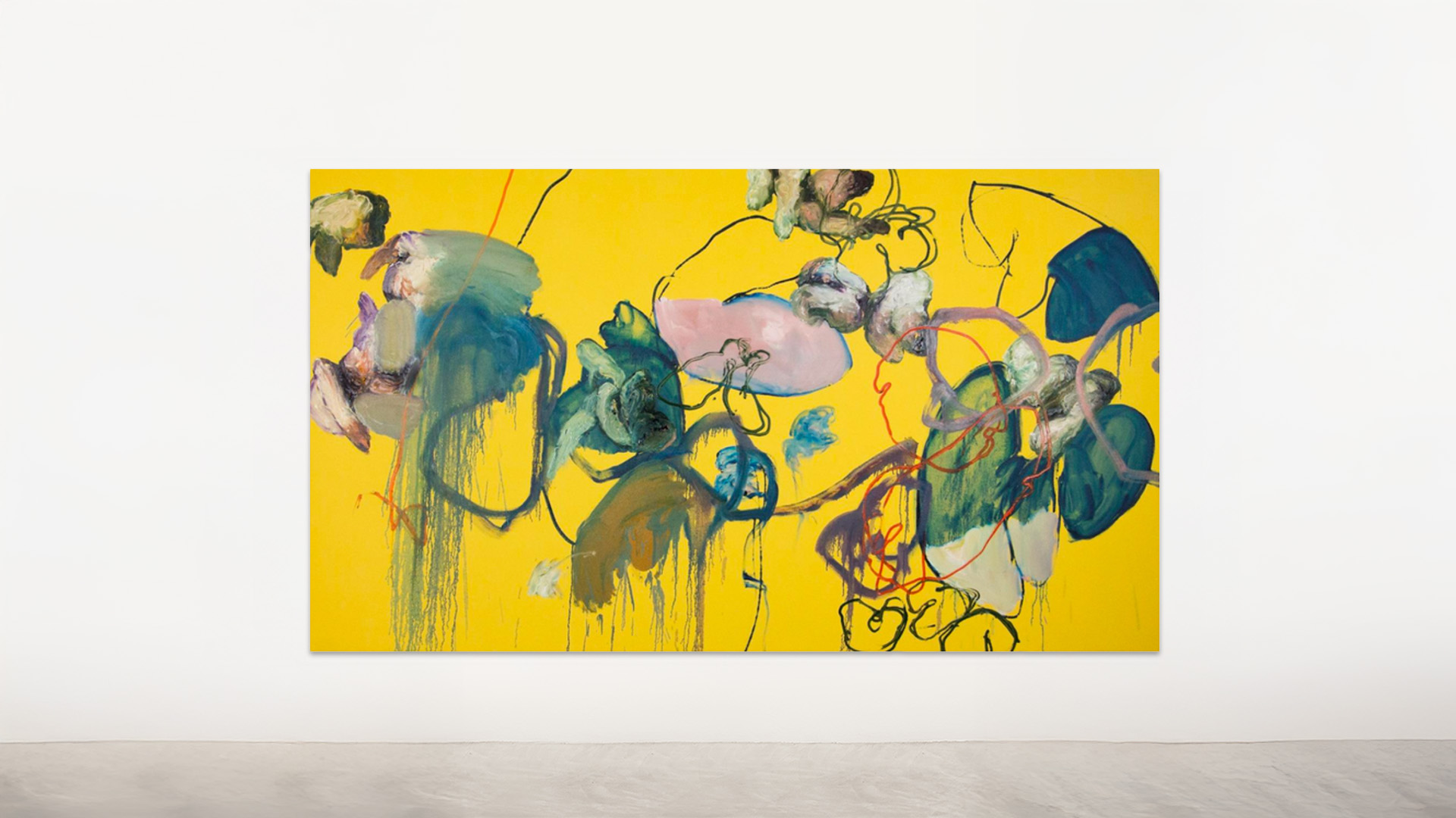 YonoacabodeentenderlaAnatomiadeunpinguino